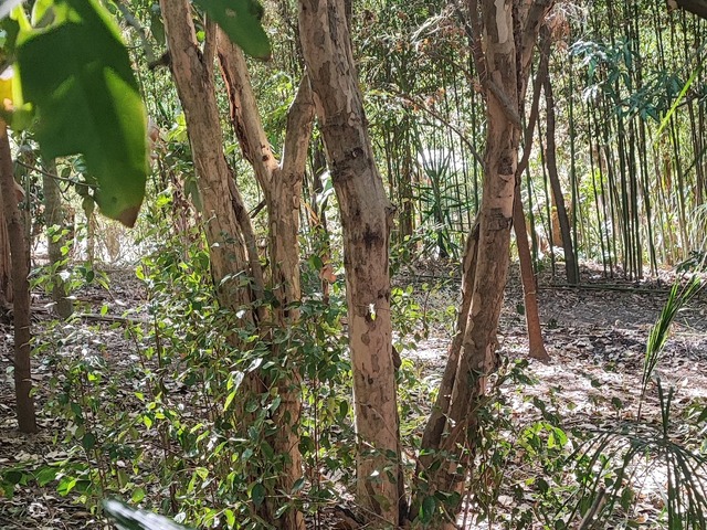  para  em  - 5