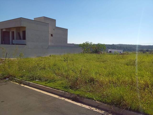 #256 - Área para Venda em Campinas - SP - 1