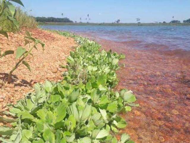 #263 - Área para Venda em Campinas - SP